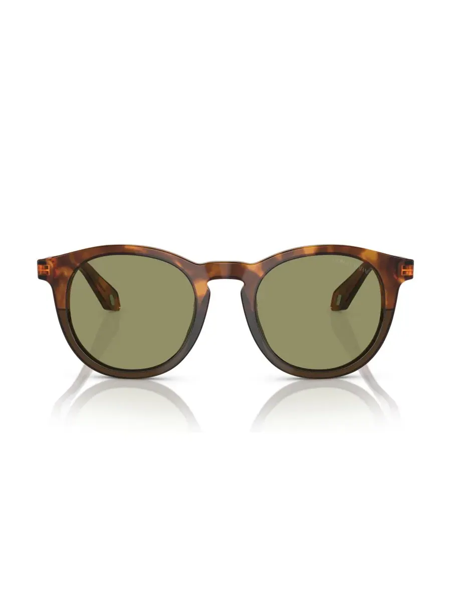 Мужские солнцезащитные очки, AR8192 Giorgio Armani — изображение 2 из 5, коричневый