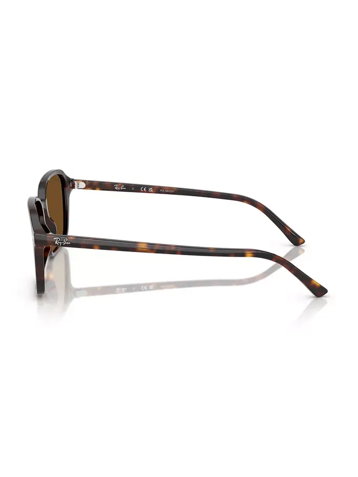 Унисекс поляризованные солнцезащитные очки Raimond, RB2231 Ray-Ban — изображение 3 из 6, коричневый