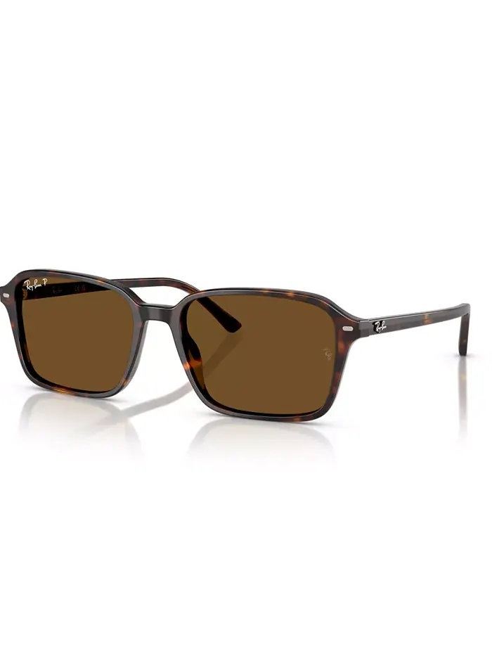 Унисекс поляризованные солнцезащитные очки Raimond, RB2231 Ray-Ban