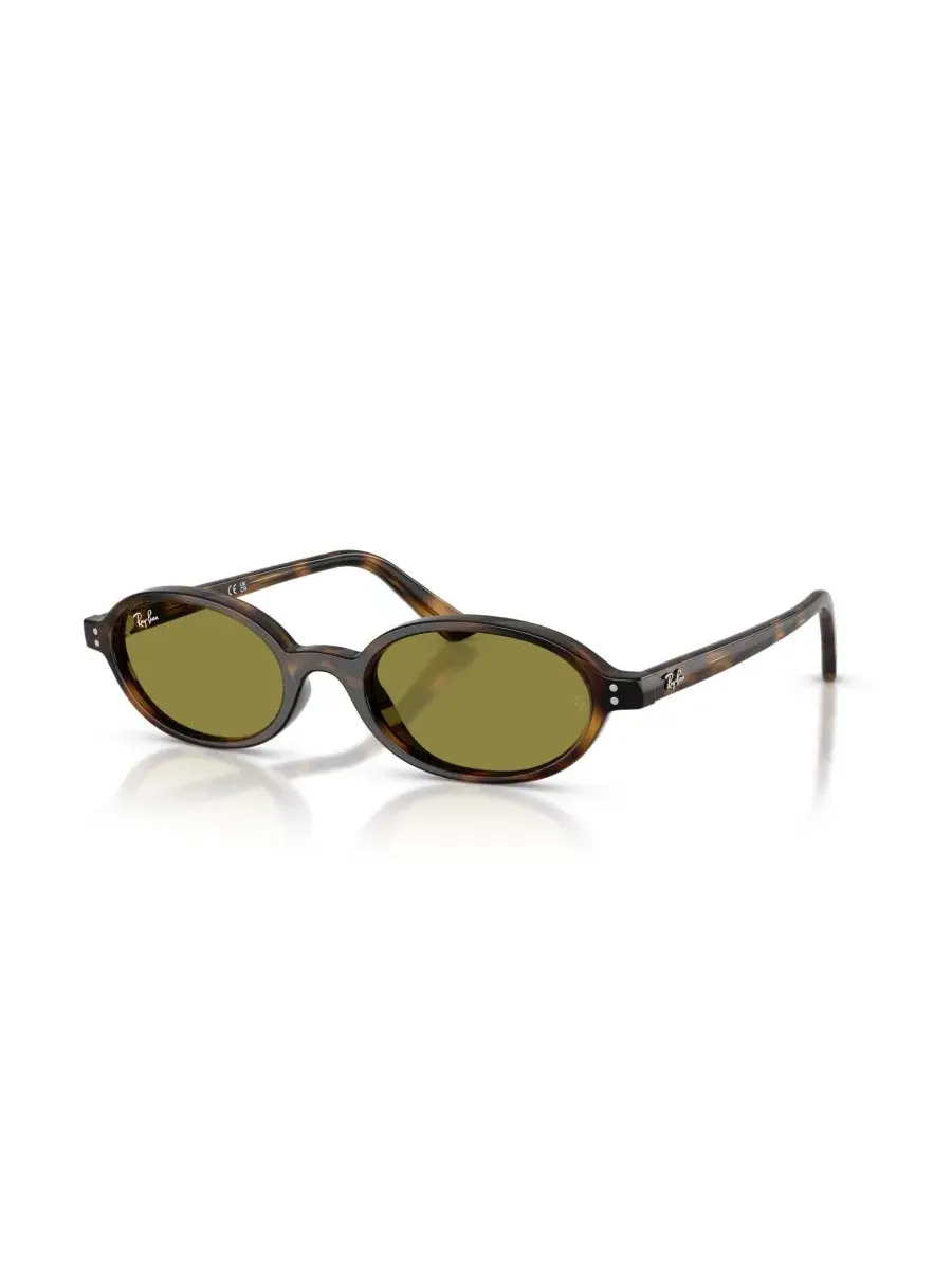 Солнцезащитные очки унисекс овальной формы, RB4472 Ray-Ban — изображение 1 из 6, коричневый