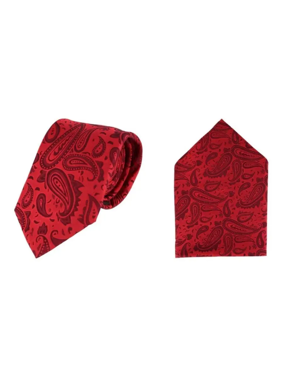 Комплект галстук и платок с узором пейсли Banbury Tone on Tone Paisley TRAFALGAR