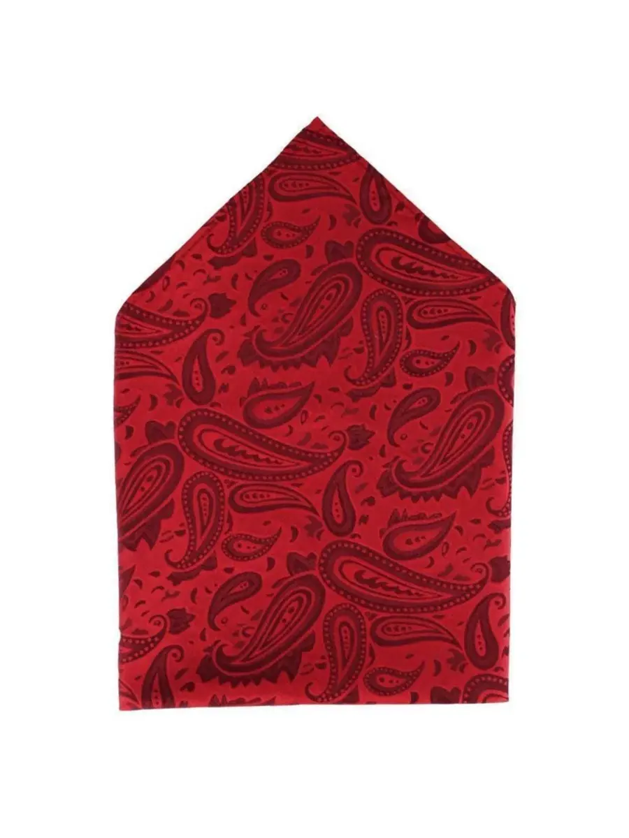 Комплект галстук и платок с узором пейсли Banbury Tone on Tone Paisley TRAFALGAR — изображение 4 из 6, красный