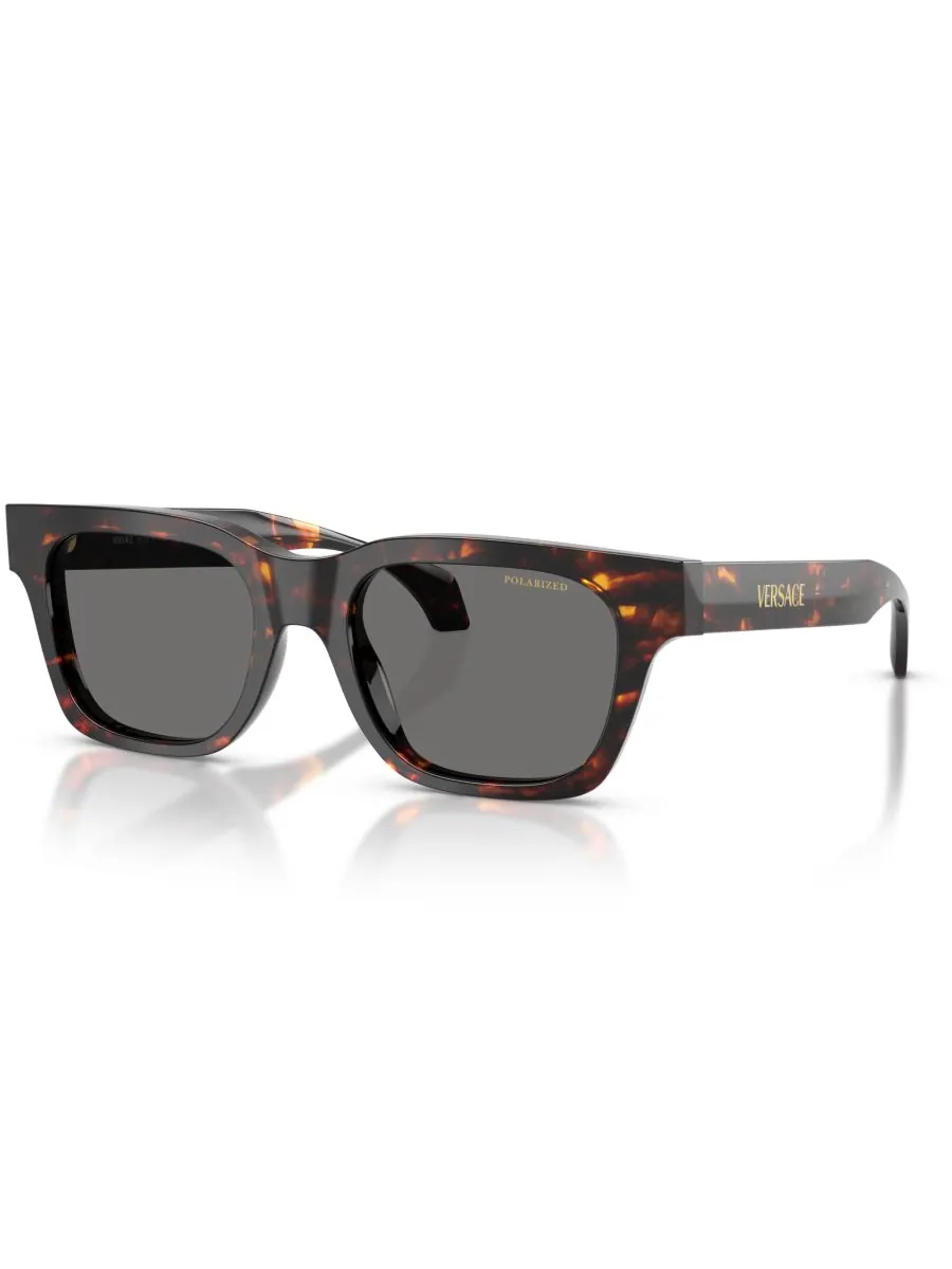 Мужские поляризованные солнцезащитные очки, VE4486 Versace