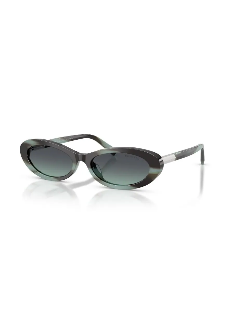Женские овальные солнцезащитные очки, TF4250 Tiffany & Co