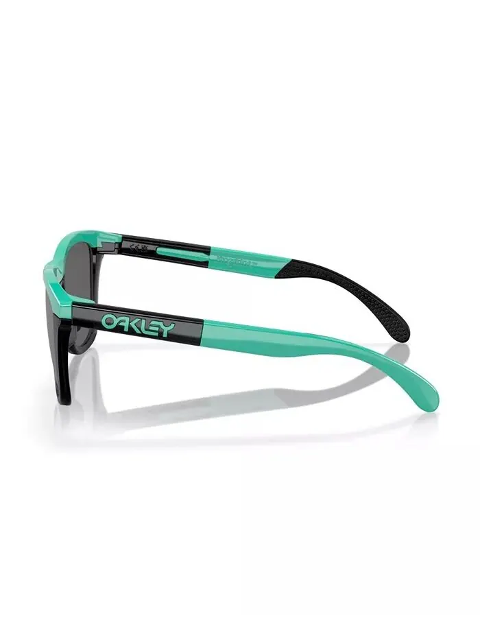 Мужские солнцезащитные очки Frogskins Range, зеркало OO9284 Oakley — изображение 2 из 6, небесный