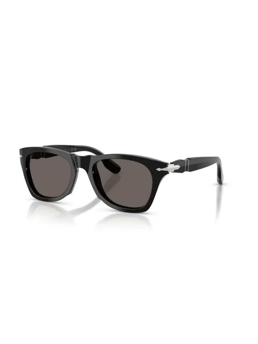 Солнцезащитные очки унисекс круглой формы, PO8001S Persol — изображение 1 из 7, черный