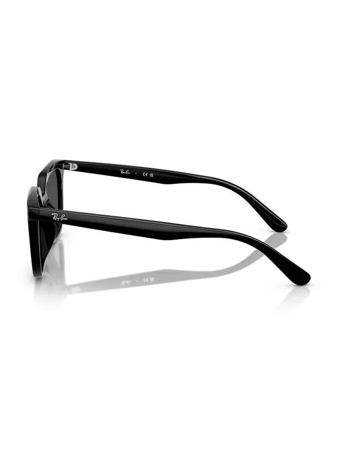 Унисекс круглые солнцезащитные очки, RB4439D Ray-Ban — изображение 4 из 10, черный