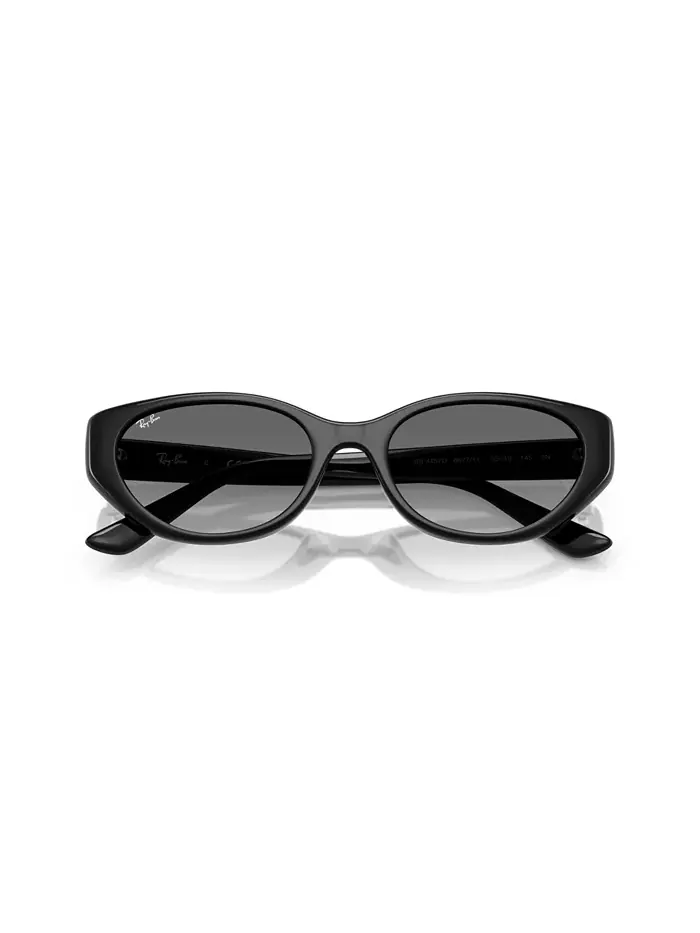 Унисекс большие солнцезащитные очки, RB4457D Ray-Ban — изображение 4 из 6, черный