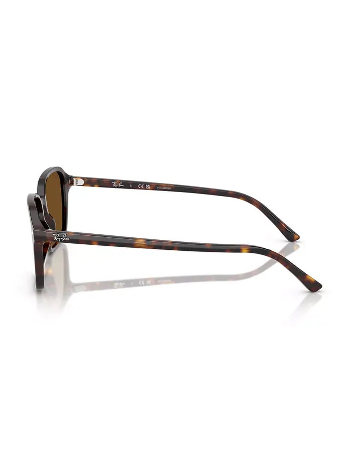 Унисекс поляризованные солнцезащитные очки Raimond, RB2231F Ray-Ban — изображение 3 из 6, коричневый