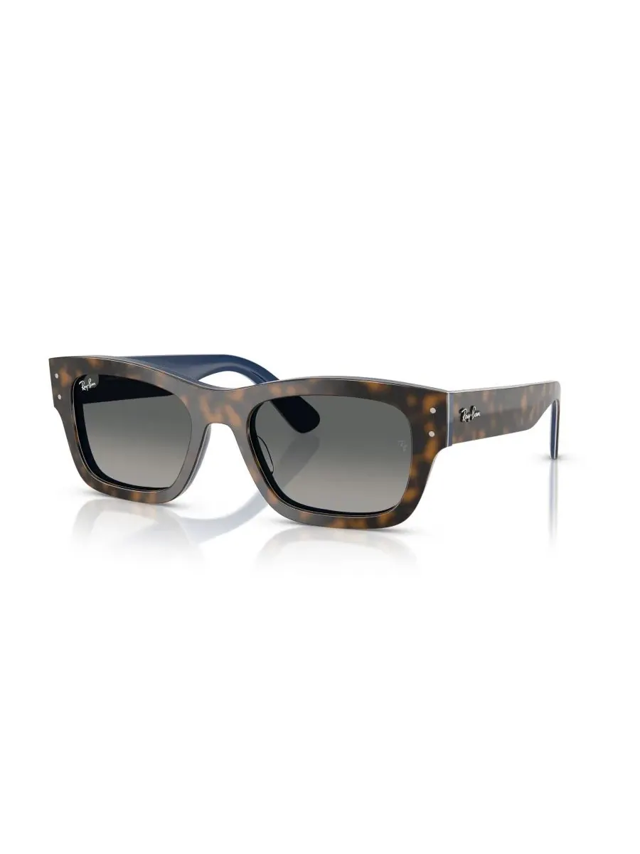 Солнцезащитные очки Joseph унисекс, RB7683S Ray-Ban