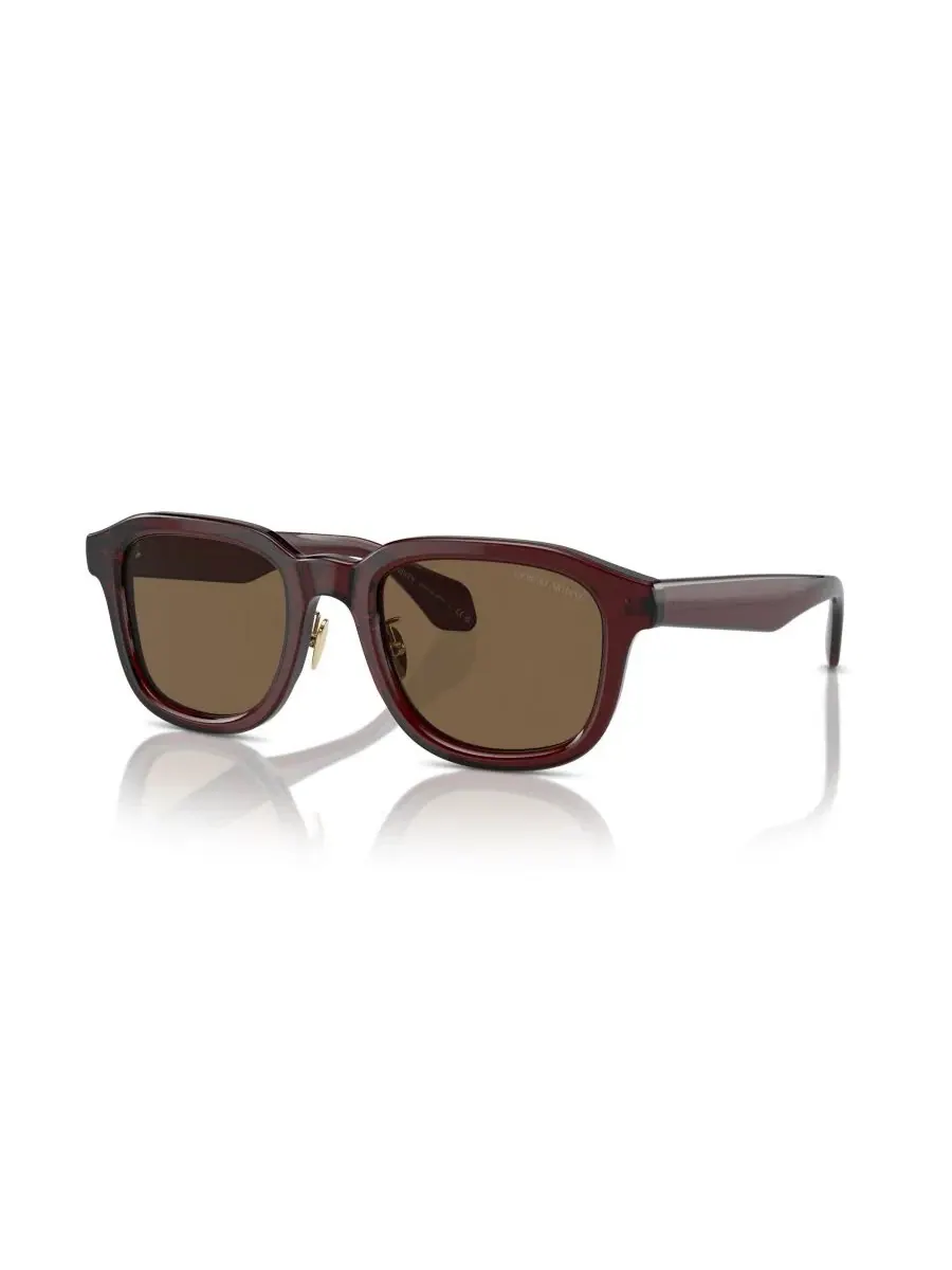 Солнцезащитные очки AR8206 Giorgio Armani