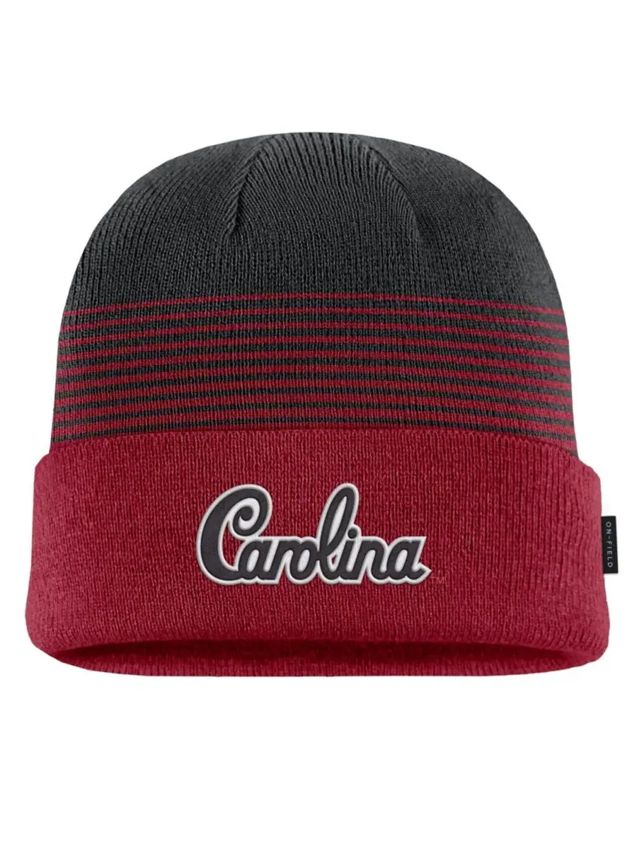 Шапка с отворотом South Carolina Gamecocks On-Field Gradient Terra Cuffed Nike