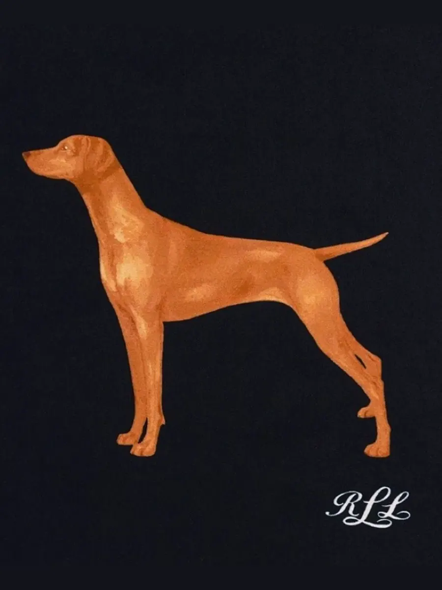 Шелковый платок с принтом Dog Conversational Small Square Lauren Ralph Lauren — изображение 3 из 3, темно-синий мульти
