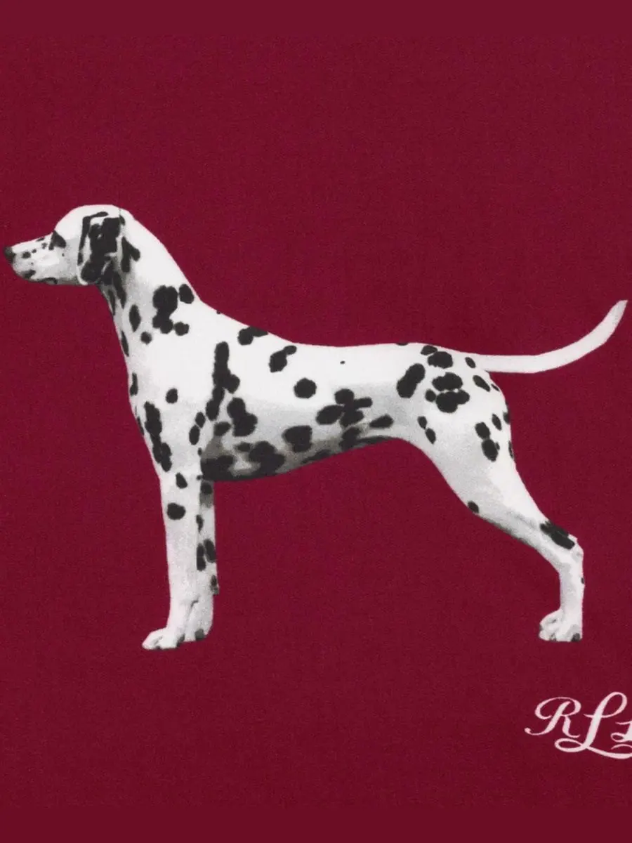 Шелковый платок с принтом Dog Conversational Small Square Scarf Lauren Ralph Lauren — изображение 4 из 4, красный