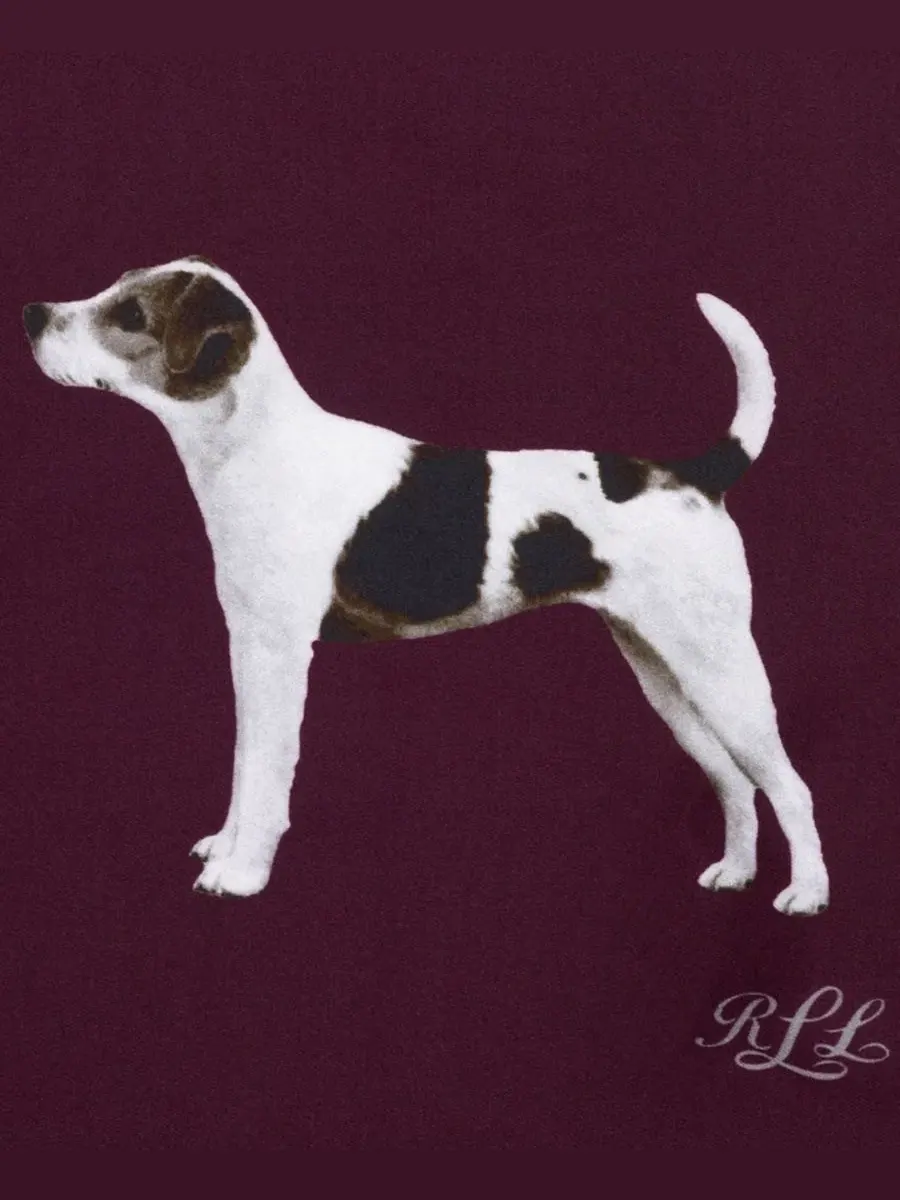 Шелковый платок с принтом Dog Conversational Small Square Scarf Lauren Ralph Lauren — изображение 4 из 4, красный