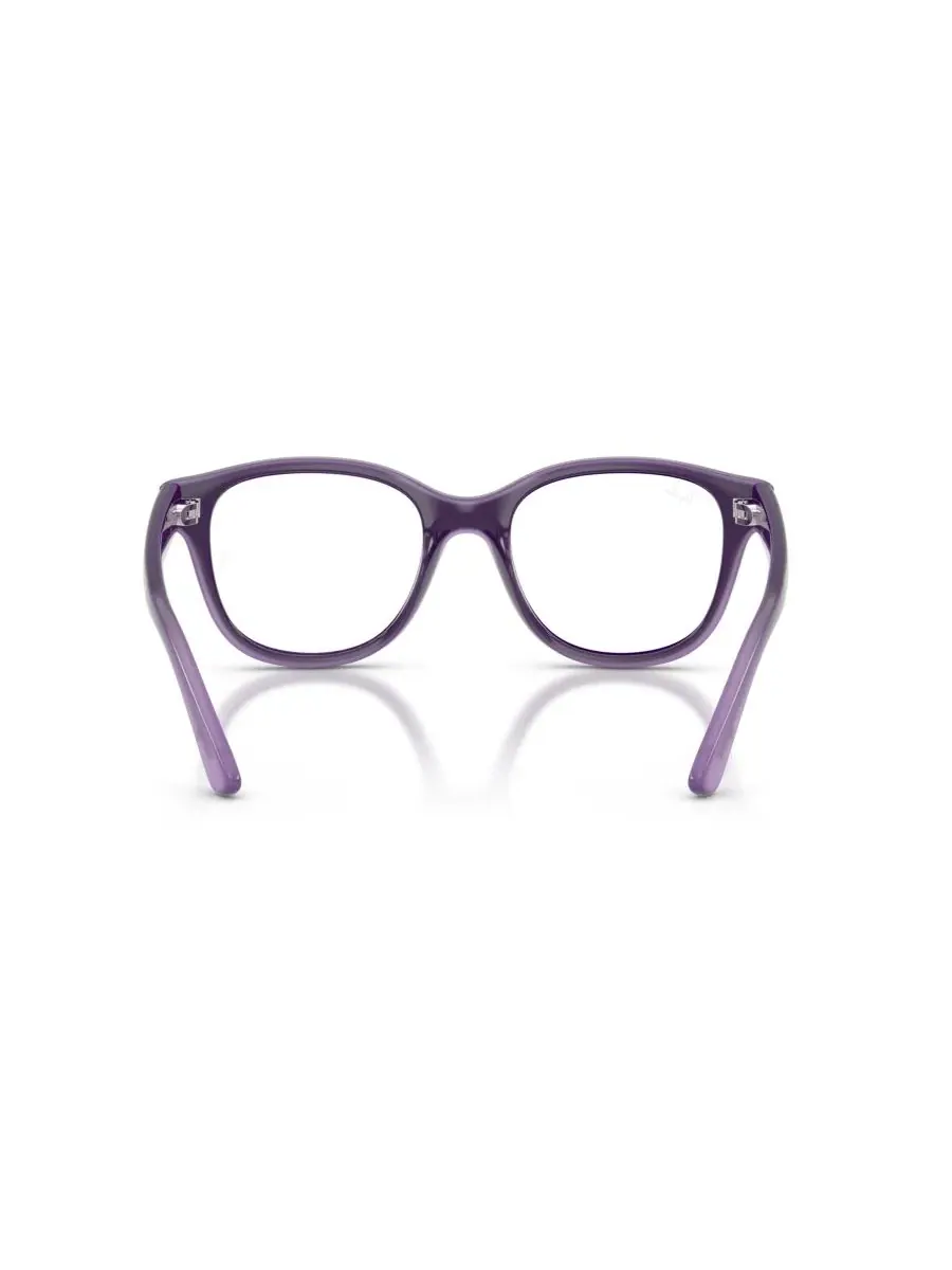 Детские очки RB1950 Ray-Ban — изображение 4 из 5