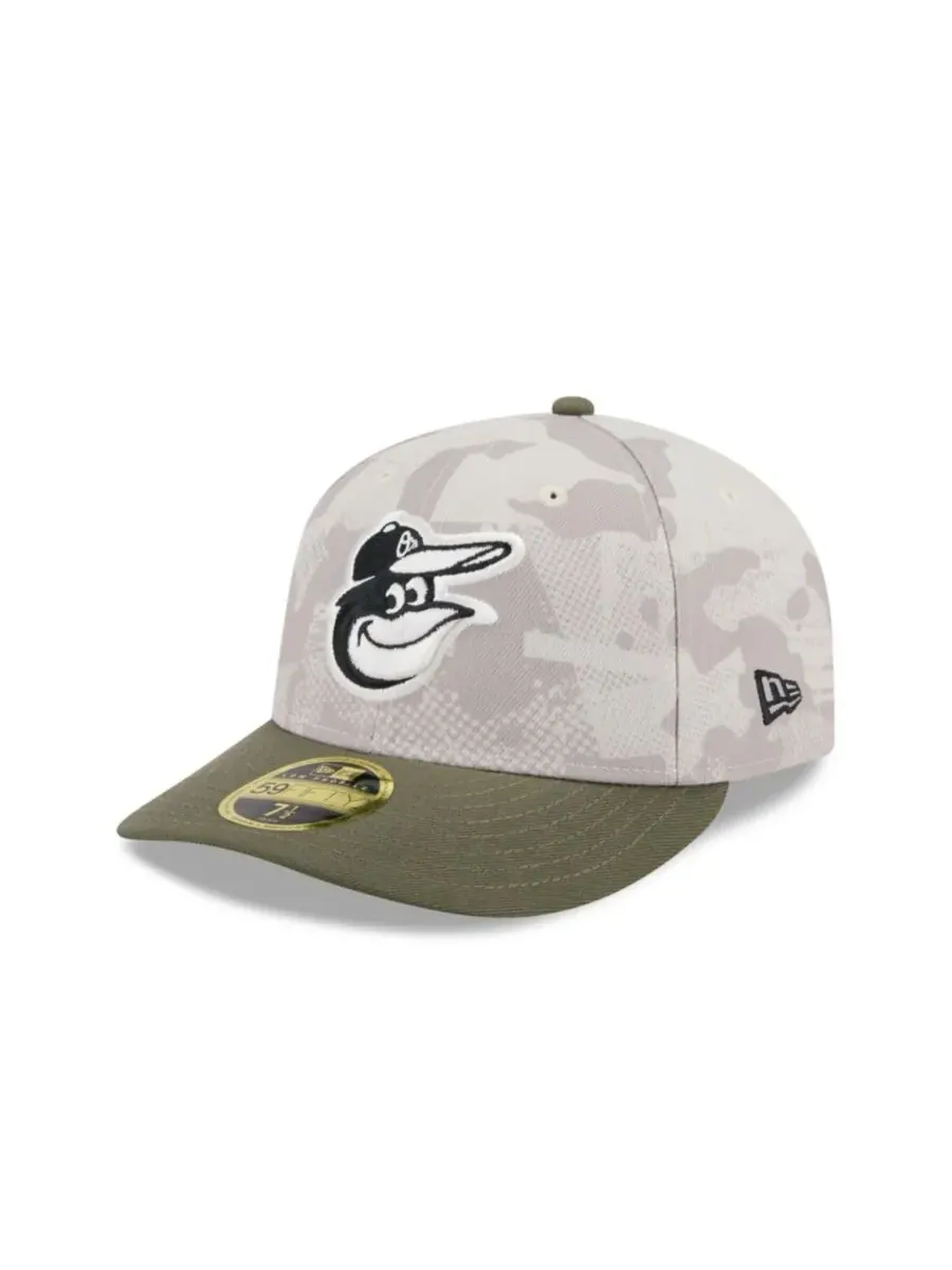 New Era Мужская бейсболка 59FIFTY Low Profile, светло-бежевая/оливковая, посвященная Дню