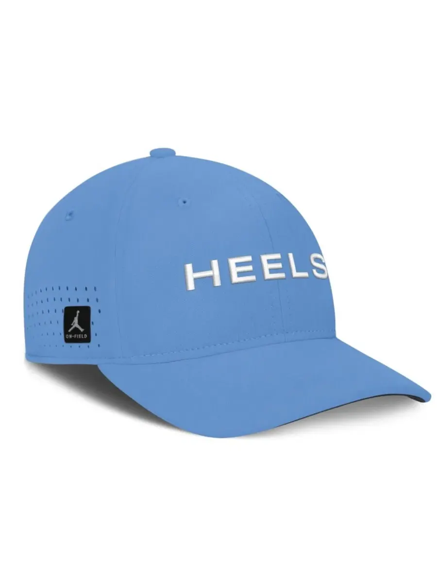 Кепка Dri-FIT с вышивкой Aerobill Swooshflex Carolina Blue Jordan — изображение 3 из 5, синий