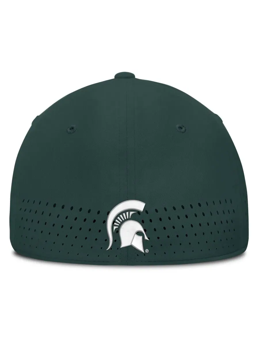 Кепка с вышивкой Michigan State Spartans Nike — изображение 4 из 5, зеленый