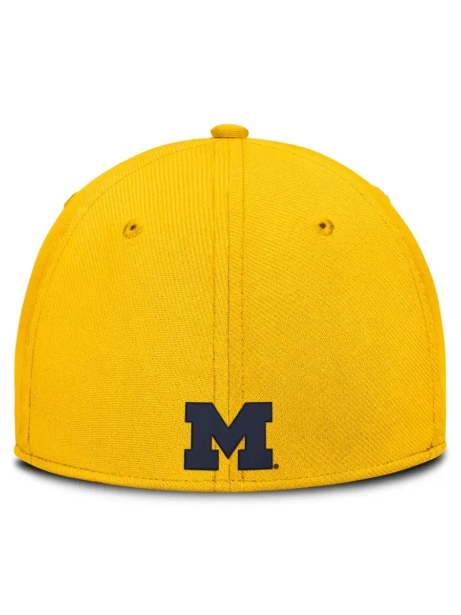 Бейсболка Jordan Michigan Wolverines Game Day Rise Swooshflex — изображение 2 из 5, желтый