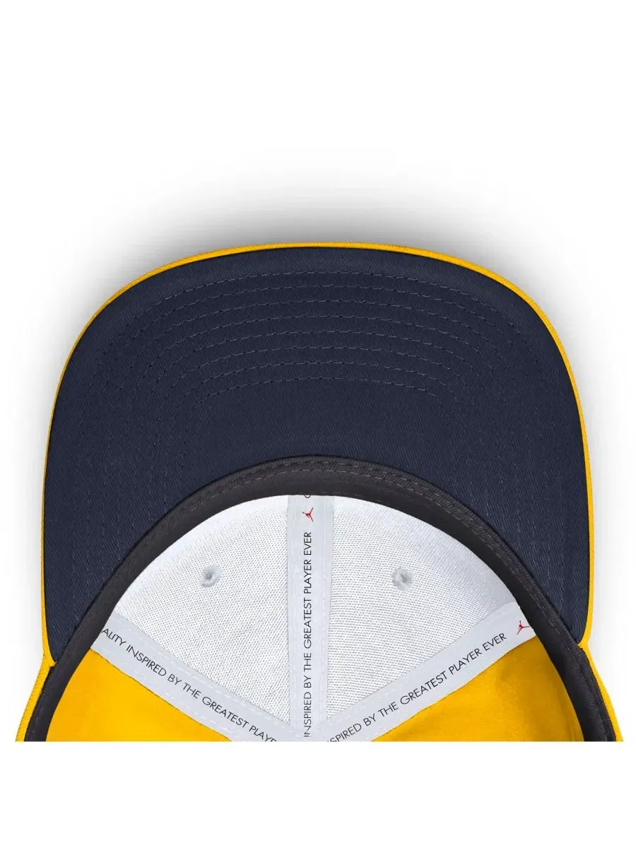 Бейсболка Jordan Michigan Wolverines Game Day Rise Swooshflex — изображение 3 из 5, желтый