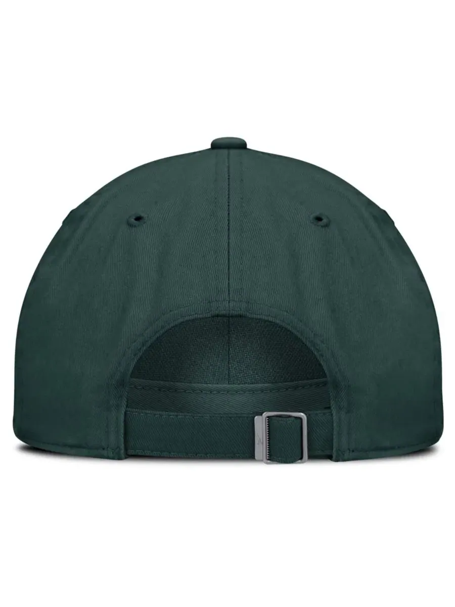 Кепка Nike с вышивкой Michigan State Spartans — изображение 4 из 4, зеленый