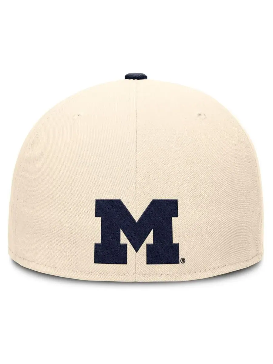 Мужская бейсболка Natural Michigan Wolverines Primetime True Performance Fitted Hat Jordan — изображение 2 из 5, прозрачный