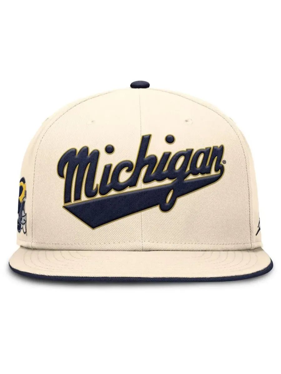 Мужская бейсболка Natural Michigan Wolverines Primetime True Performance Fitted Hat Jordan — изображение 4 из 5, прозрачный