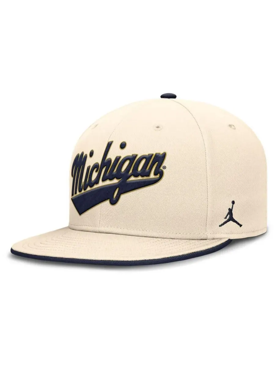 Мужская бейсболка Natural Michigan Wolverines Primetime True Performance Fitted Hat Jordan — изображение 5 из 5, прозрачный