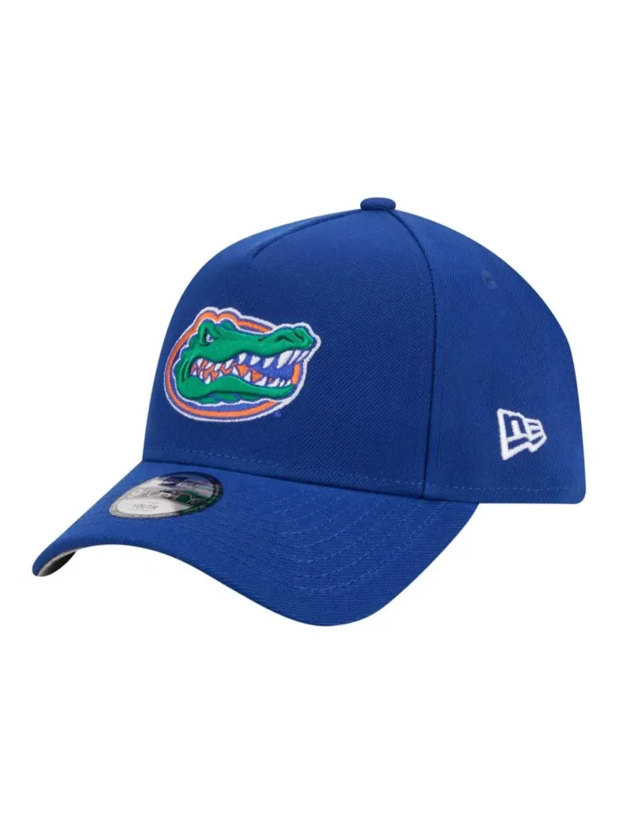 Кепка New Era 9FORTY A-Frame, с вышивкой Florida Gators