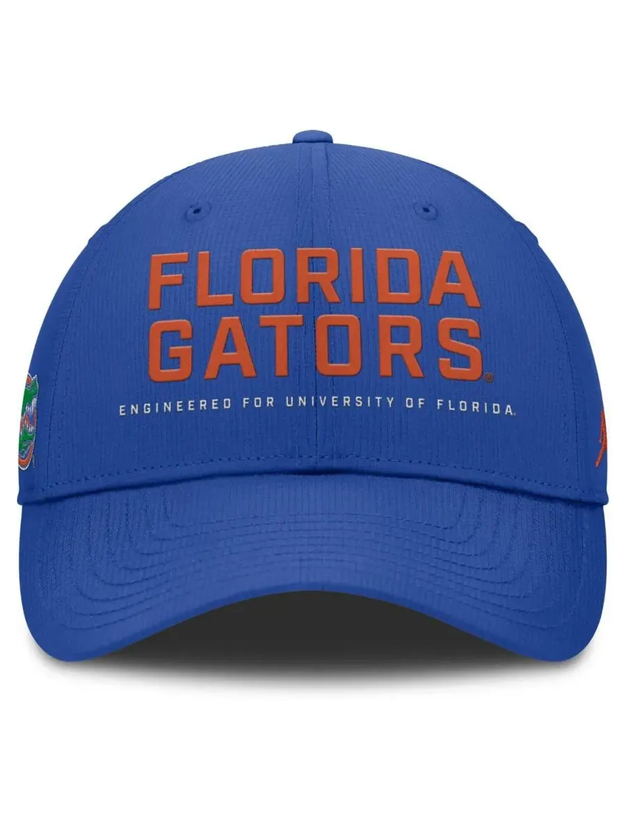 Мужская регулируемая бейсболка Royal Florida Gators 2025 On-Field Gameday Club Jordan — изображение 2 из 4, королевский