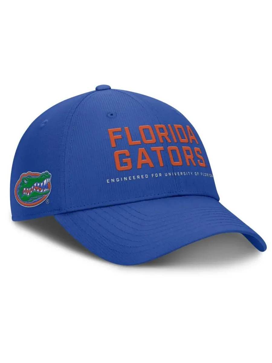 Мужская регулируемая бейсболка Royal Florida Gators 2025 On-Field Gameday Club Jordan — изображение 3 из 4, королевский