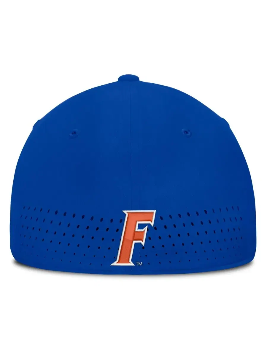 Кепка Aerobill Swooshflex Dri-FIT с вышивкой Jordan — изображение 4 из 5, королевский