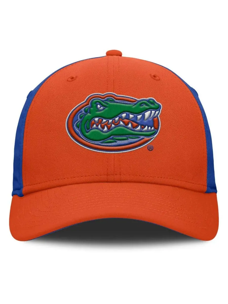 Jordan Мужская оранжево-королевская бейсболка Florida Gators 2025 Sideline Rise Local Performance — изображение 2 из 4