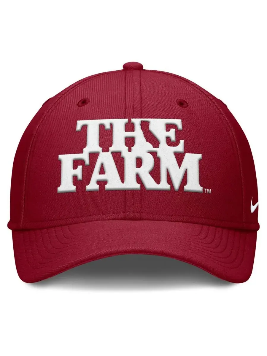 Мужская бейсболка Cardinal Stanford Cardinal Local Swoosh Flex Hat Nike — изображение 5 из 5, красный