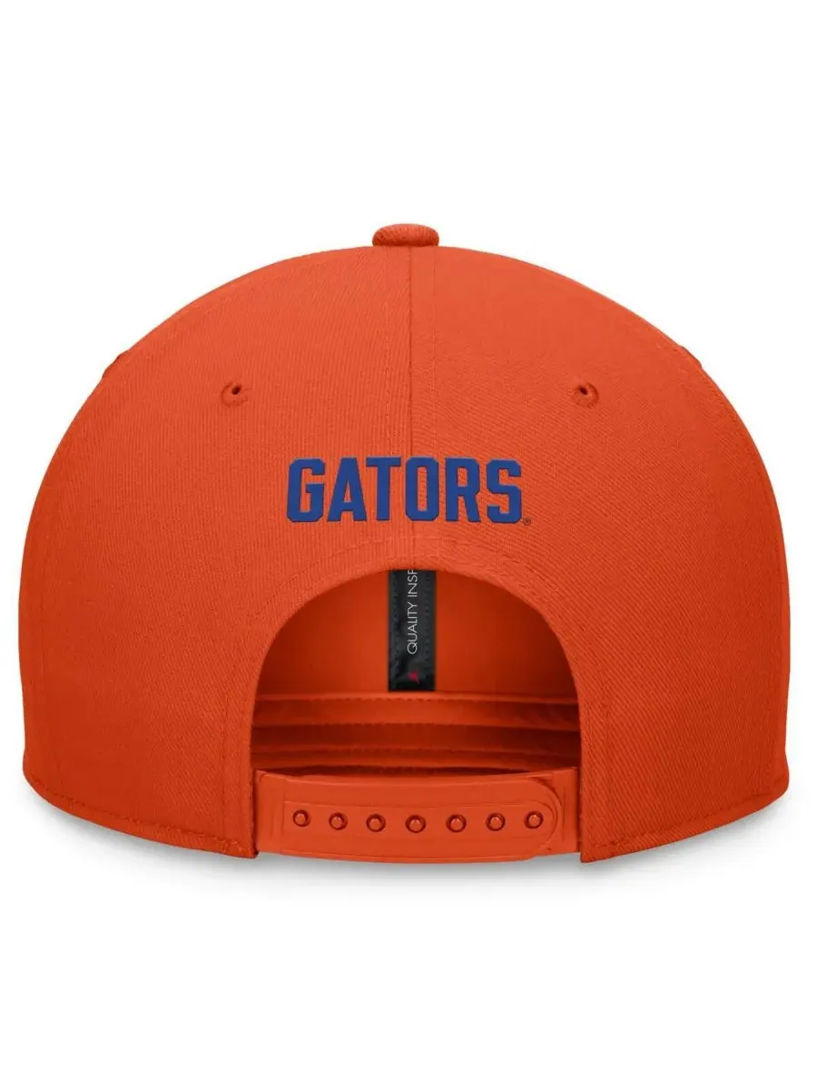 Jordan Мужская оранжевая бейсболка Florida Gators Primetime Pro Snapback — изображение 2 из 4, оранжевый