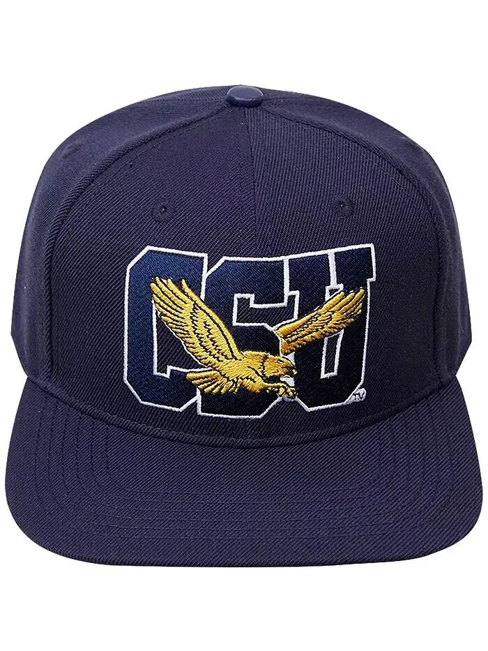 Мужская темно-синяя кепка Coppin State Eagles Evergreen CSU Snapback Pro Standard — изображение 2 из 3