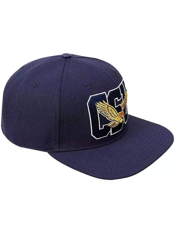 Мужская темно-синяя кепка Coppin State Eagles Evergreen CSU Snapback Pro Standard — изображение 3 из 3