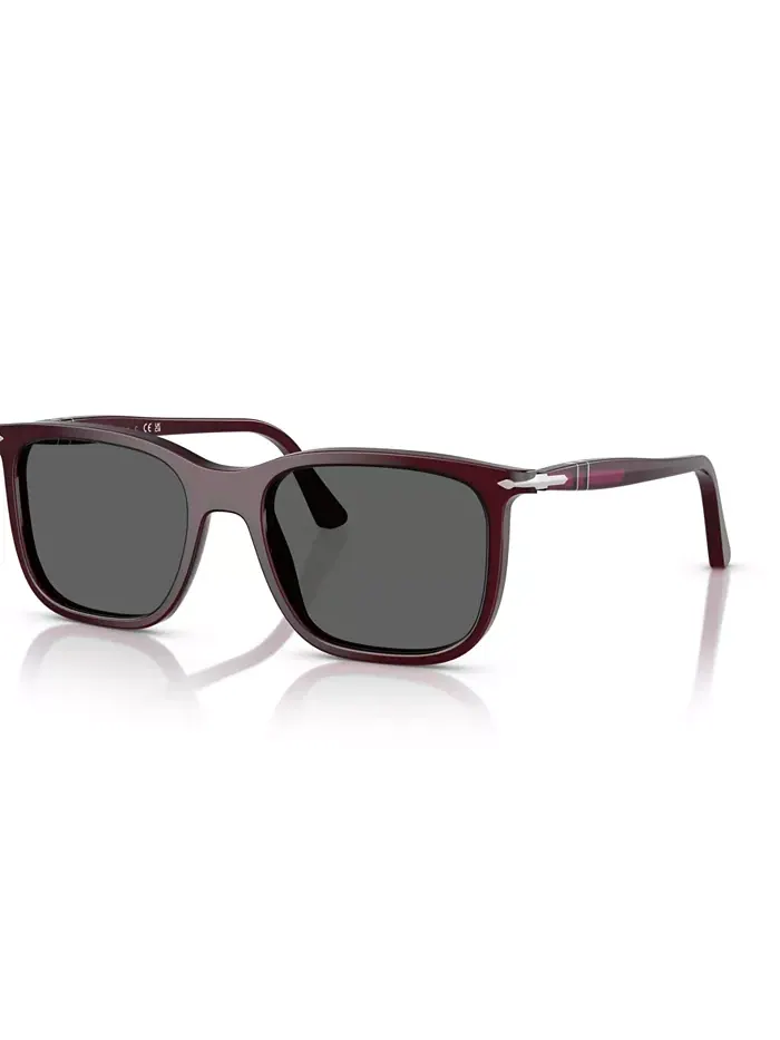 Унисекс солнцезащитные очки Round Renzo, PO3357S Persol