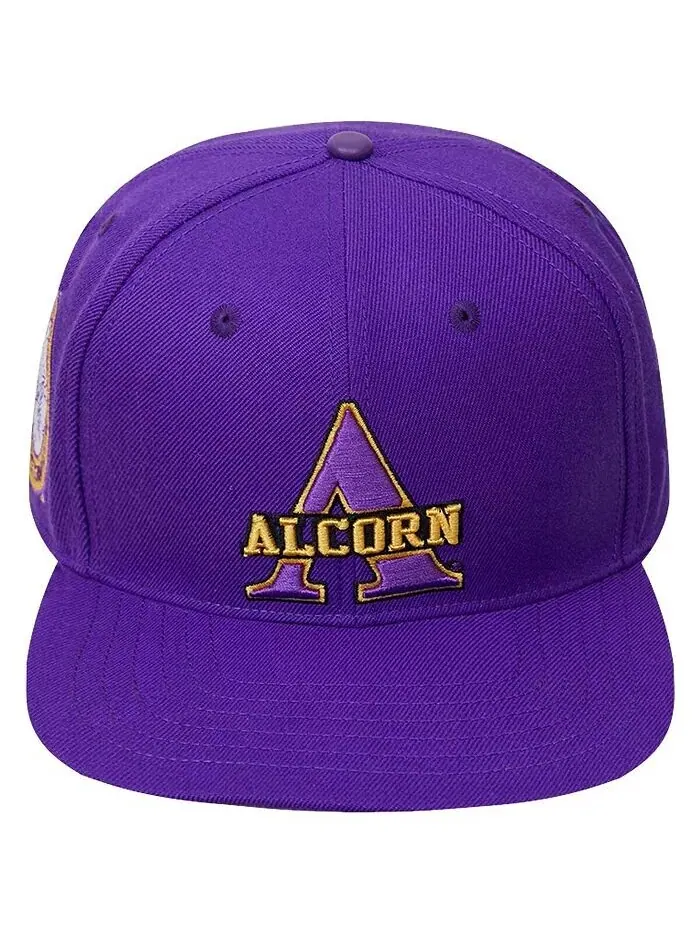 Мужская фиолетовая кепка с логотипом Alcorn State Braves Evergreen Primary Snapback Pro Standard — изображение 3 из 4