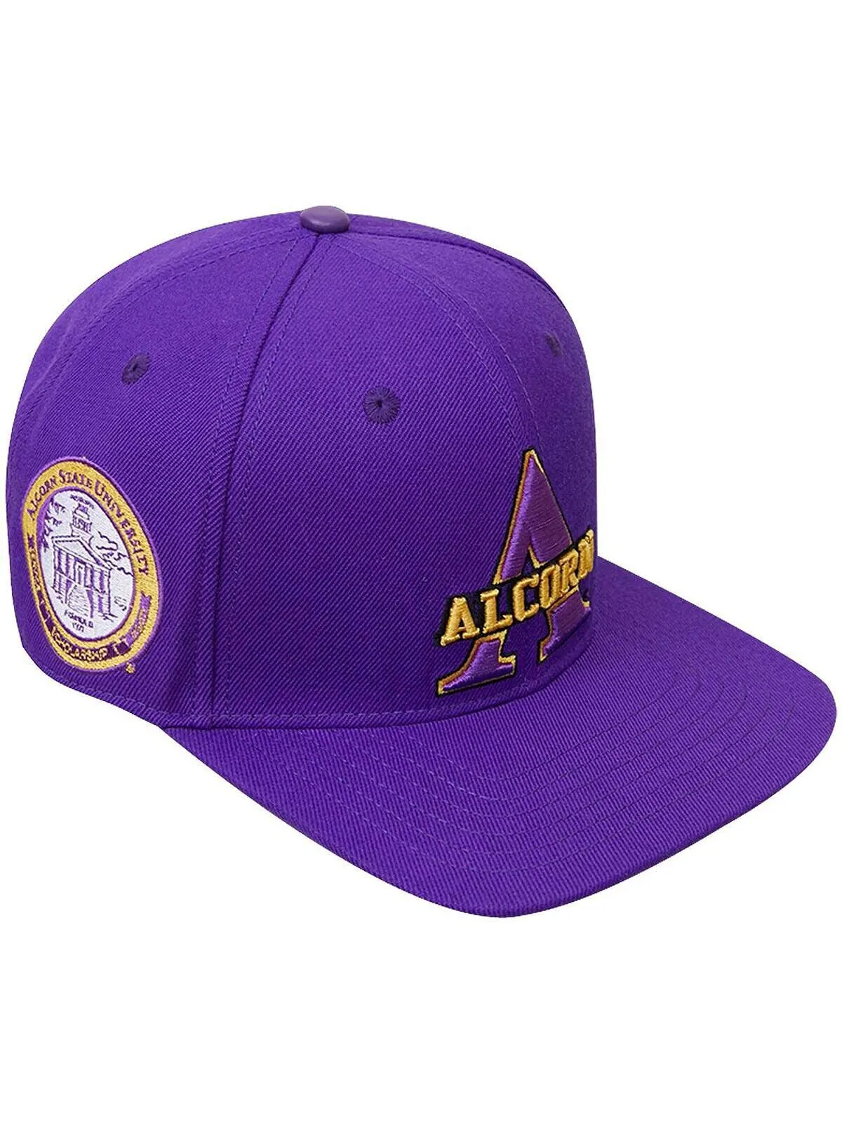 Мужская фиолетовая кепка с логотипом Alcorn State Braves Evergreen Primary Snapback Pro Standard