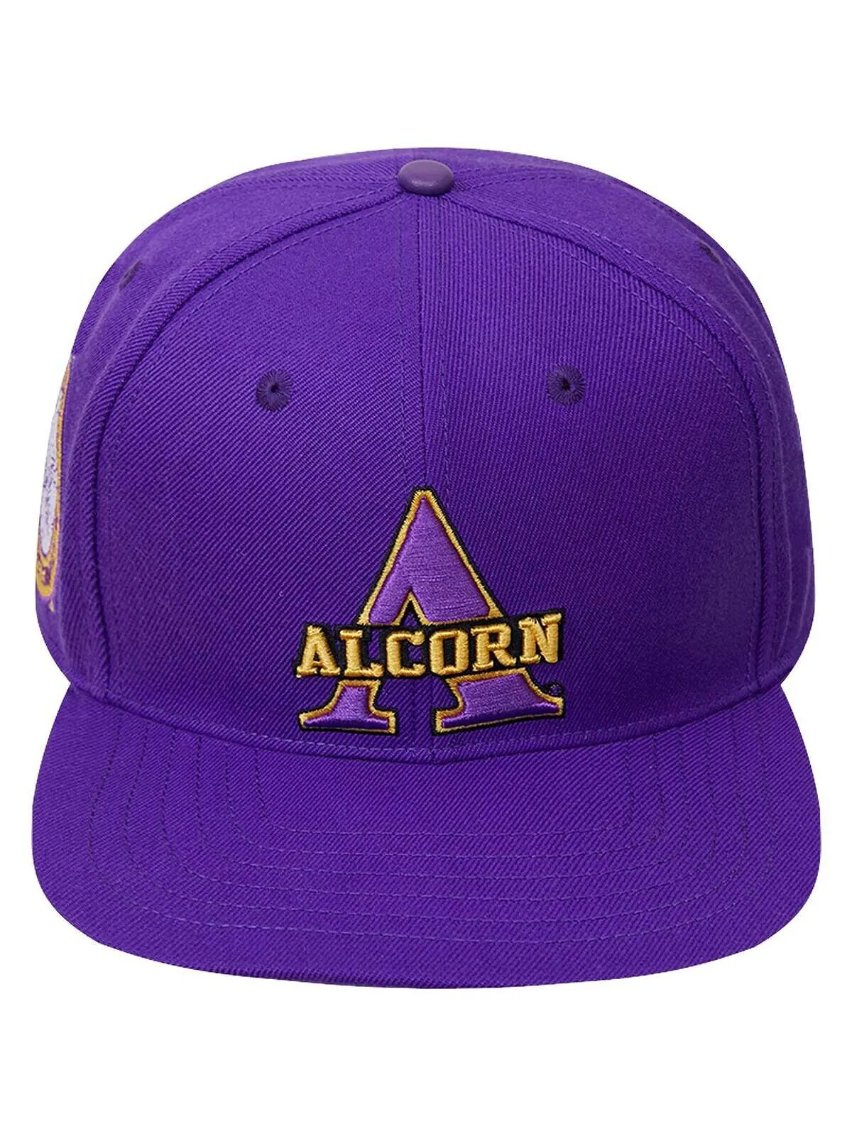 Мужская фиолетовая кепка с логотипом Alcorn State Braves Evergreen Primary Snapback Pro Standard — изображение 3 из 4