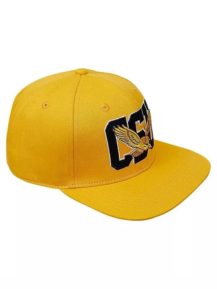 Мужская кепка Snapback Coppin State Eagles Evergreen CSU золотого цвета Pro Standard — изображение 2 из 5