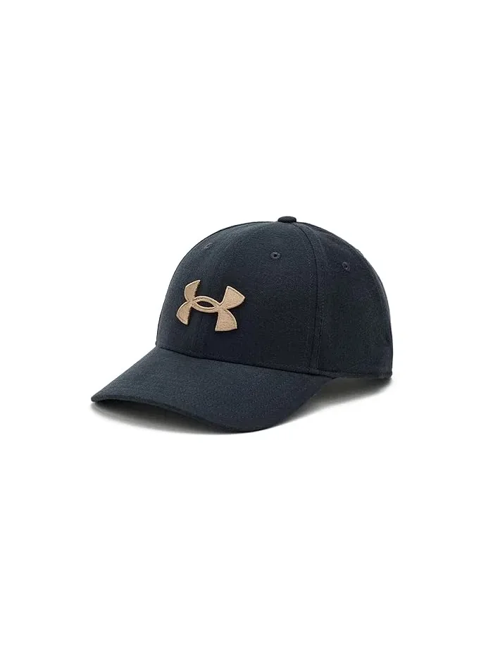 Кепка Blitzing Low Brushed Adjustable Hat Under Armour — 1