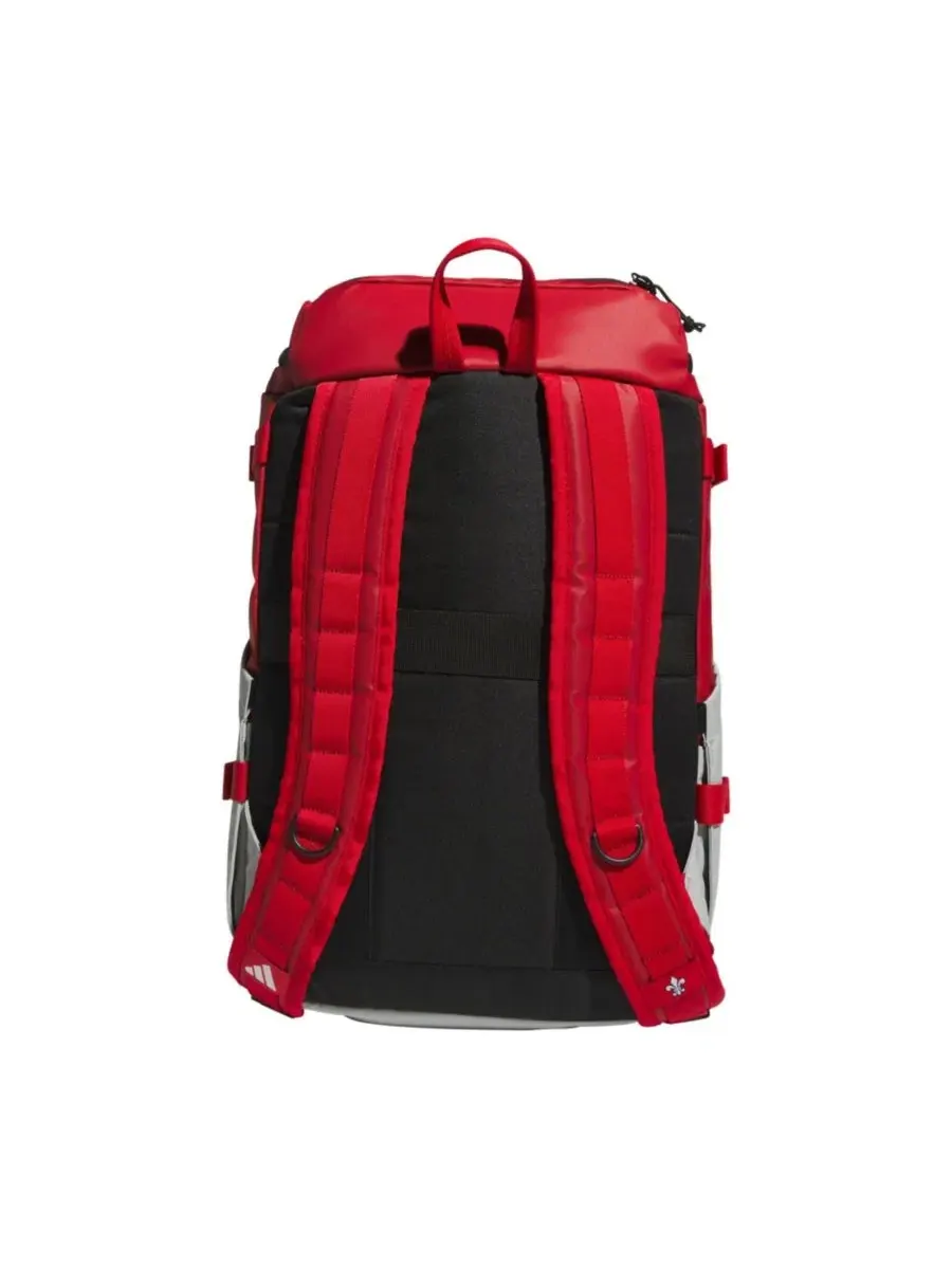 Рюкзак с принтом Louisville Cardinals Collegiate Vista adidas — изображение 4 из 6, красный
