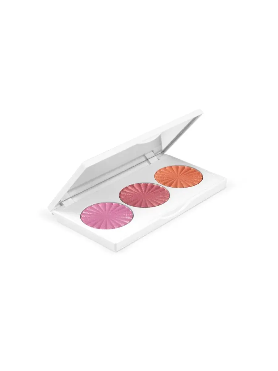 Палетка для макияжа Midi Palette Cheeky Glow OFRA Cosmetics — изображение 2 из 3
