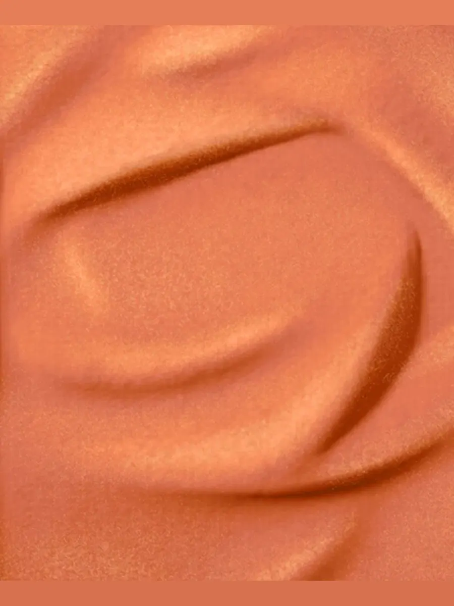 Компактные румяна Lancôme Blush Subtil — изображение 2 из 8
