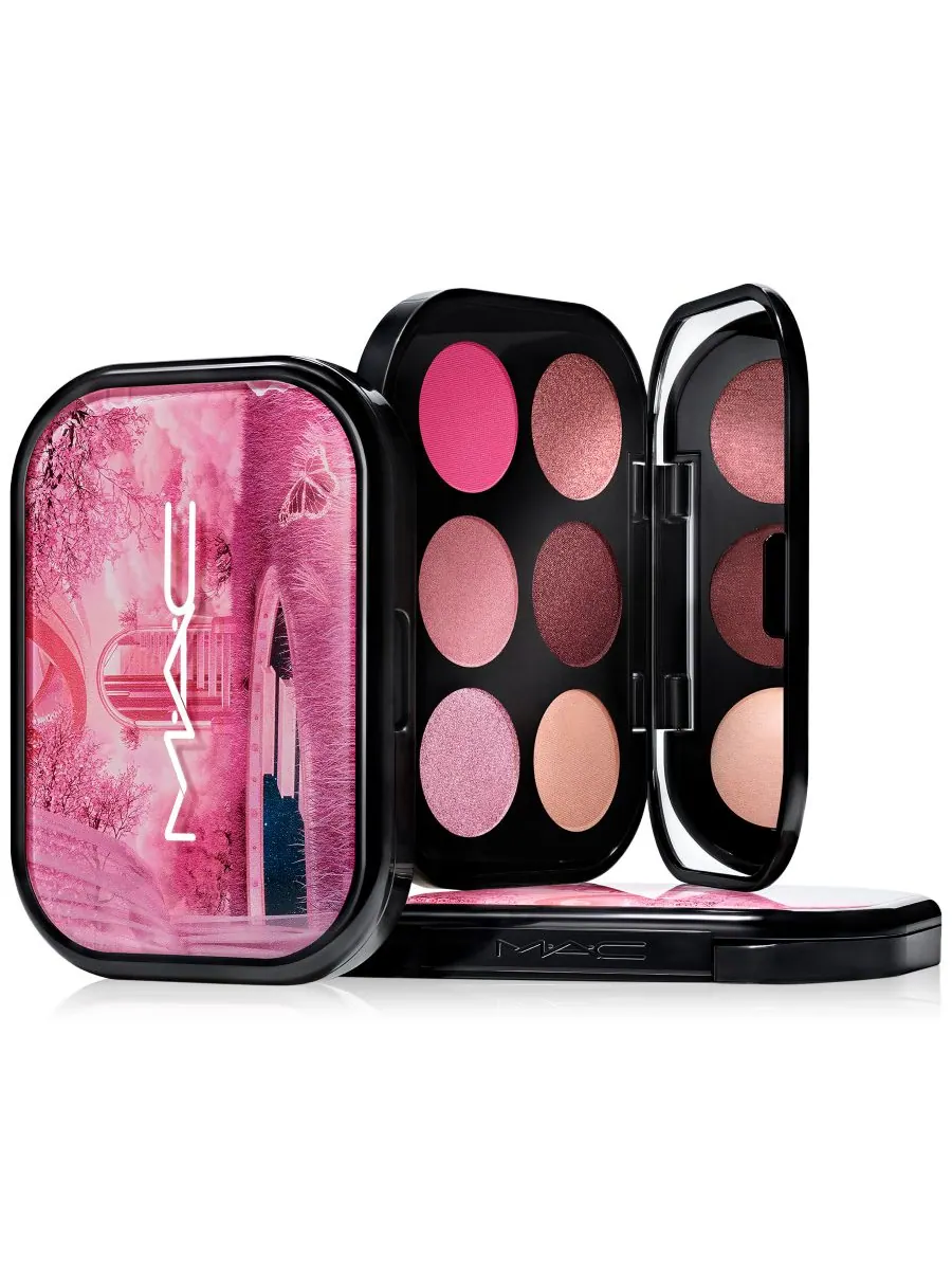 Палитра теней для век Connect In Colour - Rose Lens Mac — изображение 3 из 8