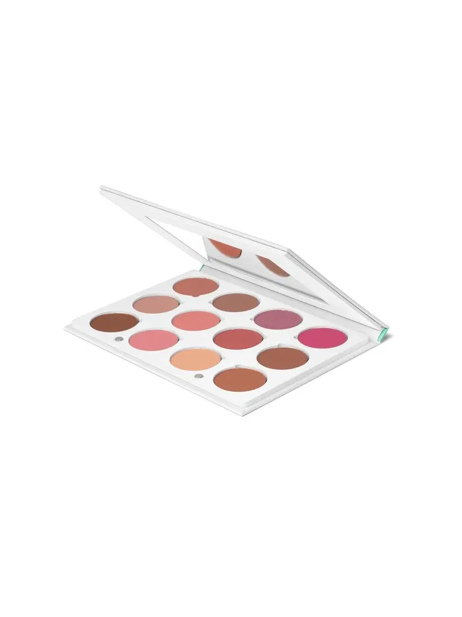 Палетка румян Pro Palette Blush OFRA Cosmetics — изображение 3 из 3