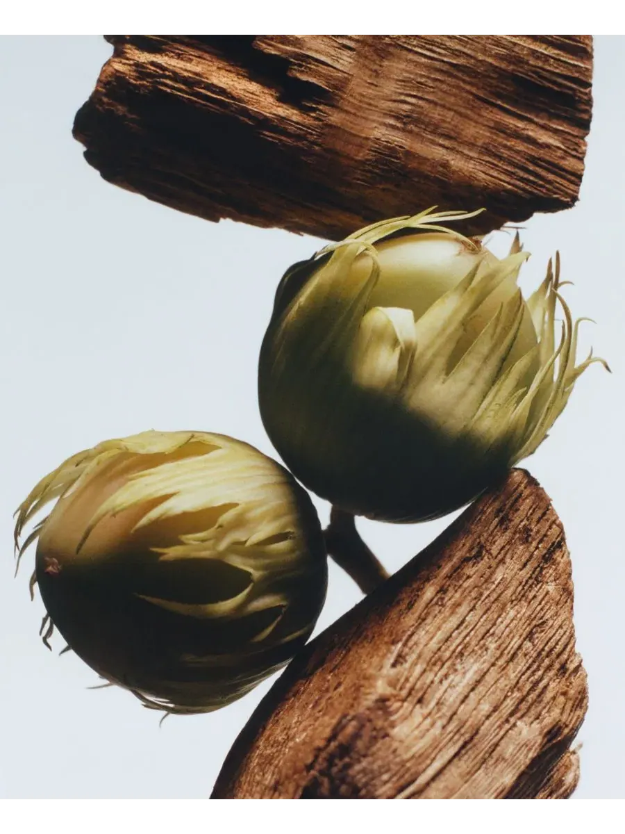 Гель для душа и рук English Oak & Hazelnut, 250 мл Jo Malone London — изображение 2 из 3
